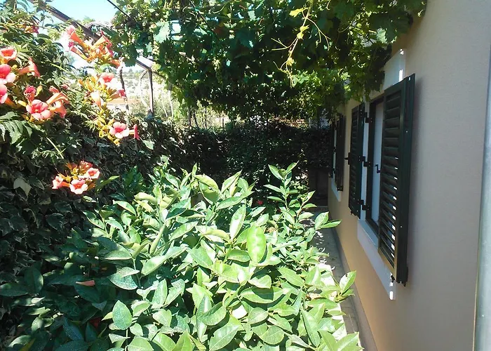 Tone & Marta Appartement